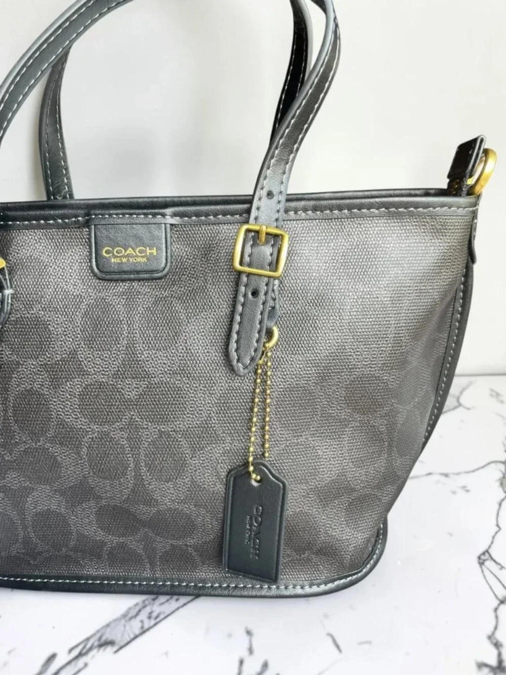 Coach classic mini